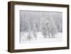 Alpine landscape, Gran Paradiso National Park, Italy-David Pattyn-Framed Photographic Print