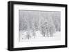 Alpine landscape, Gran Paradiso National Park, Italy-David Pattyn-Framed Photographic Print