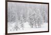 Alpine landscape, Gran Paradiso National Park, Italy-David Pattyn-Framed Photographic Print