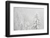 Alpine landscape with snowy trees. Gran Paradiso NP, Italy-David Pattyn-Framed Photographic Print