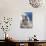 Alpine Marmot in the Hohe Tauern, Mount Grossglockner. Austria-Martin Zwick-Photographic Print displayed on a wall