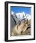 Alpine Marmot in the Hohe Tauern, Mount Grossglockner. Austria-Martin Zwick-Framed Photographic Print