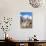 Alpine Marmot in the Hohe Tauern, Mount Grossglockner. Austria-Martin Zwick-Photographic Print displayed on a wall