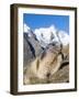 Alpine Marmot in the Hohe Tauern, Mount Grossglockner. Austria-Martin Zwick-Framed Photographic Print