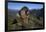 Alpine Marmot (Marmota Marmota) Feeding, Hohe Tauern National Park, Austria, July 2008-Lesniewski-Framed Photographic Print