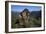 Alpine Marmot (Marmota Marmota) Feeding, Hohe Tauern National Park, Austria, July 2008-Lesniewski-Framed Photographic Print