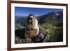 Alpine Marmot (Marmota Marmota) Feeding, Hohe Tauern National Park, Austria, July 2008-Lesniewski-Framed Photographic Print