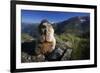 Alpine Marmot (Marmota Marmota) Feeding, Hohe Tauern National Park, Austria, July 2008-Lesniewski-Framed Photographic Print