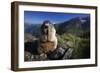 Alpine Marmot (Marmota Marmota) Feeding, Hohe Tauern National Park, Austria, July 2008-Lesniewski-Framed Photographic Print