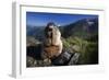 Alpine Marmot (Marmota Marmota) Feeding, Hohe Tauern National Park, Austria, July 2008-Lesniewski-Framed Photographic Print