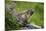 Alpine Marmot (Marmota Marmota) Hohe Tauern National Park, Austria, July 2008-Lesniewski-Mounted Photographic Print