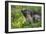 Alpine Marmot (Marmota Marmota) Portrait, Hohe Tauern National Park, Austria, July 2008-Lesniewski-Framed Photographic Print