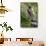 Alpine Marmot (Marmota Marmota) Standing on Hind Legs Feeding on Flowers, Hohe Tauern Np, Austria-Lesniewski-Framed Stretched Canvas displayed on a wall