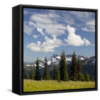 Alpine Meadow and Sarvent Glaciers, Mount Rainier National Park, Washington, USA-Jamie & Judy Wild-Framed Stretched Canvas