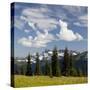 Alpine Meadow and Sarvent Glaciers, Mount Rainier National Park, Washington, USA-Jamie & Judy Wild-Stretched Canvas