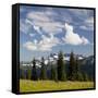 Alpine Meadow and Sarvent Glaciers, Mount Rainier National Park, Washington, USA-Jamie & Judy Wild-Framed Stretched Canvas