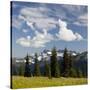 Alpine Meadow and Sarvent Glaciers, Mount Rainier National Park, Washington, USA-Jamie & Judy Wild-Stretched Canvas