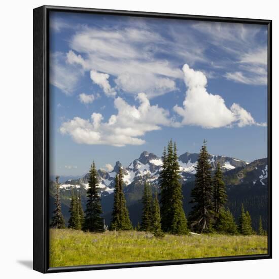 Alpine Meadow and Sarvent Glaciers, Mount Rainier National Park, Washington, USA-Jamie & Judy Wild-Framed Photographic Print