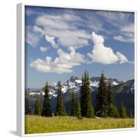 Alpine Meadow and Sarvent Glaciers, Mount Rainier National Park, Washington, USA-Jamie & Judy Wild-Framed Photographic Print