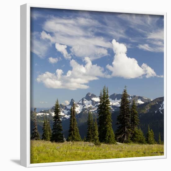 Alpine Meadow and Sarvent Glaciers, Mount Rainier National Park, Washington, USA-Jamie & Judy Wild-Framed Photographic Print