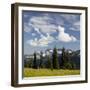 Alpine Meadow and Sarvent Glaciers, Mount Rainier National Park, Washington, USA-Jamie & Judy Wild-Framed Photographic Print