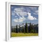 Alpine Meadow and Sarvent Glaciers, Mount Rainier National Park, Washington, USA-Jamie & Judy Wild-Framed Photographic Print