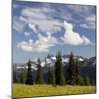 Alpine Meadow and Sarvent Glaciers, Mount Rainier National Park, Washington, USA-Jamie & Judy Wild-Mounted Photographic Print