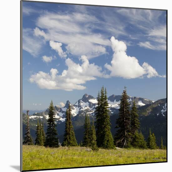 Alpine Meadow and Sarvent Glaciers, Mount Rainier National Park, Washington, USA-Jamie & Judy Wild-Mounted Photographic Print