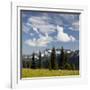 Alpine Meadow and Sarvent Glaciers, Mount Rainier National Park, Washington, USA-Jamie & Judy Wild-Framed Photographic Print