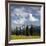 Alpine Meadow and Sarvent Glaciers, Mount Rainier National Park, Washington, USA-Jamie & Judy Wild-Framed Photographic Print