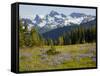 Alpine Meadow and Sarvent Glaciers, Mount Rainier National Park, Washington, USA-Jamie & Judy Wild-Framed Stretched Canvas