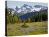 Alpine Meadow and Sarvent Glaciers, Mount Rainier National Park, Washington, USA-Jamie & Judy Wild-Stretched Canvas
