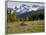 Alpine Meadow and Sarvent Glaciers, Mount Rainier National Park, Washington, USA-Jamie & Judy Wild-Framed Photographic Print