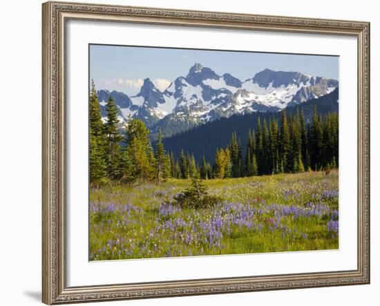 Alpine Meadow and Sarvent Glaciers, Mount Rainier National Park, Washington, USA-Jamie & Judy Wild-Framed Photographic Print