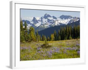 Alpine Meadow and Sarvent Glaciers, Mount Rainier National Park, Washington, USA-Jamie & Judy Wild-Framed Photographic Print