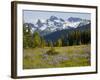 Alpine Meadow and Sarvent Glaciers, Mount Rainier National Park, Washington, USA-Jamie & Judy Wild-Framed Photographic Print