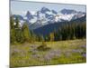 Alpine Meadow and Sarvent Glaciers, Mount Rainier National Park, Washington, USA-Jamie & Judy Wild-Mounted Photographic Print