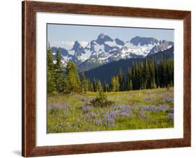 Alpine Meadow and Sarvent Glaciers, Mount Rainier National Park, Washington, USA-Jamie & Judy Wild-Framed Photographic Print