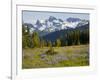 Alpine Meadow and Sarvent Glaciers, Mount Rainier National Park, Washington, USA-Jamie & Judy Wild-Framed Photographic Print