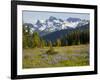 Alpine Meadow and Sarvent Glaciers, Mount Rainier National Park, Washington, USA-Jamie & Judy Wild-Framed Photographic Print