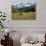 Alpine Meadow and Sarvent Glaciers, Mount Rainier National Park, Washington, USA-Jamie & Judy Wild-Photographic Print displayed on a wall