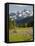 Alpine Meadow and Sarvent Glaciers, Mount Rainier National Park, Washington, USA-Jamie & Judy Wild-Framed Stretched Canvas