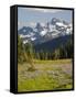 Alpine Meadow and Sarvent Glaciers, Mount Rainier National Park, Washington, USA-Jamie & Judy Wild-Framed Stretched Canvas