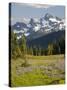 Alpine Meadow and Sarvent Glaciers, Mount Rainier National Park, Washington, USA-Jamie & Judy Wild-Stretched Canvas