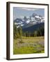 Alpine Meadow and Sarvent Glaciers, Mount Rainier National Park, Washington, USA-Jamie & Judy Wild-Framed Premium Photographic Print