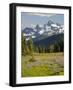 Alpine Meadow and Sarvent Glaciers, Mount Rainier National Park, Washington, USA-Jamie & Judy Wild-Framed Photographic Print