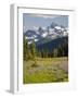 Alpine Meadow and Sarvent Glaciers, Mount Rainier National Park, Washington, USA-Jamie & Judy Wild-Framed Photographic Print