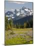 Alpine Meadow and Sarvent Glaciers, Mount Rainier National Park, Washington, USA-Jamie & Judy Wild-Mounted Photographic Print