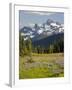 Alpine Meadow and Sarvent Glaciers, Mount Rainier National Park, Washington, USA-Jamie & Judy Wild-Framed Photographic Print