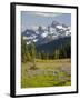 Alpine Meadow and Sarvent Glaciers, Mount Rainier National Park, Washington, USA-Jamie & Judy Wild-Framed Photographic Print